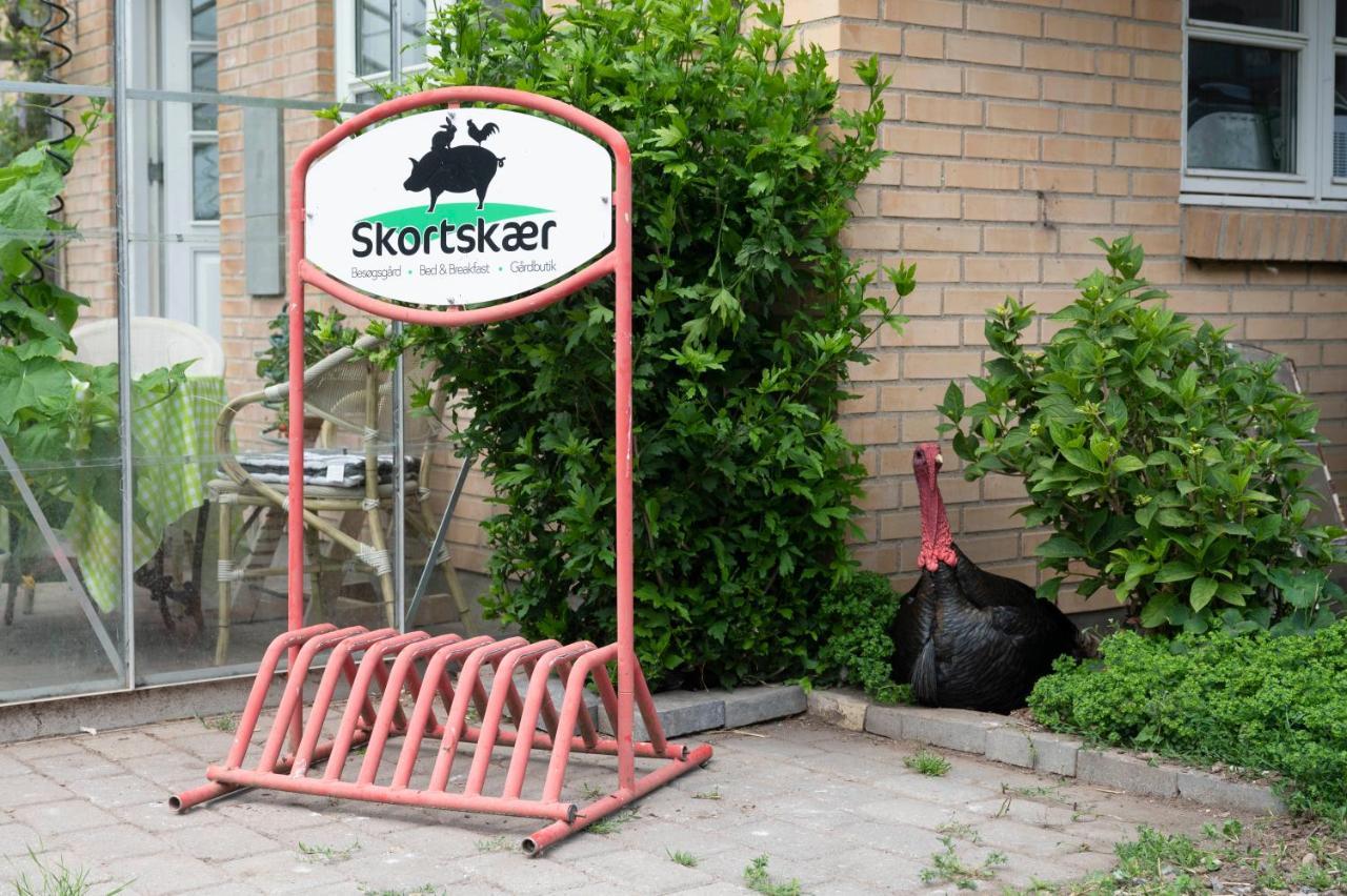 Skortskaer Bondegardsferie Bed & Breakfast Havnso  Exterior photo
